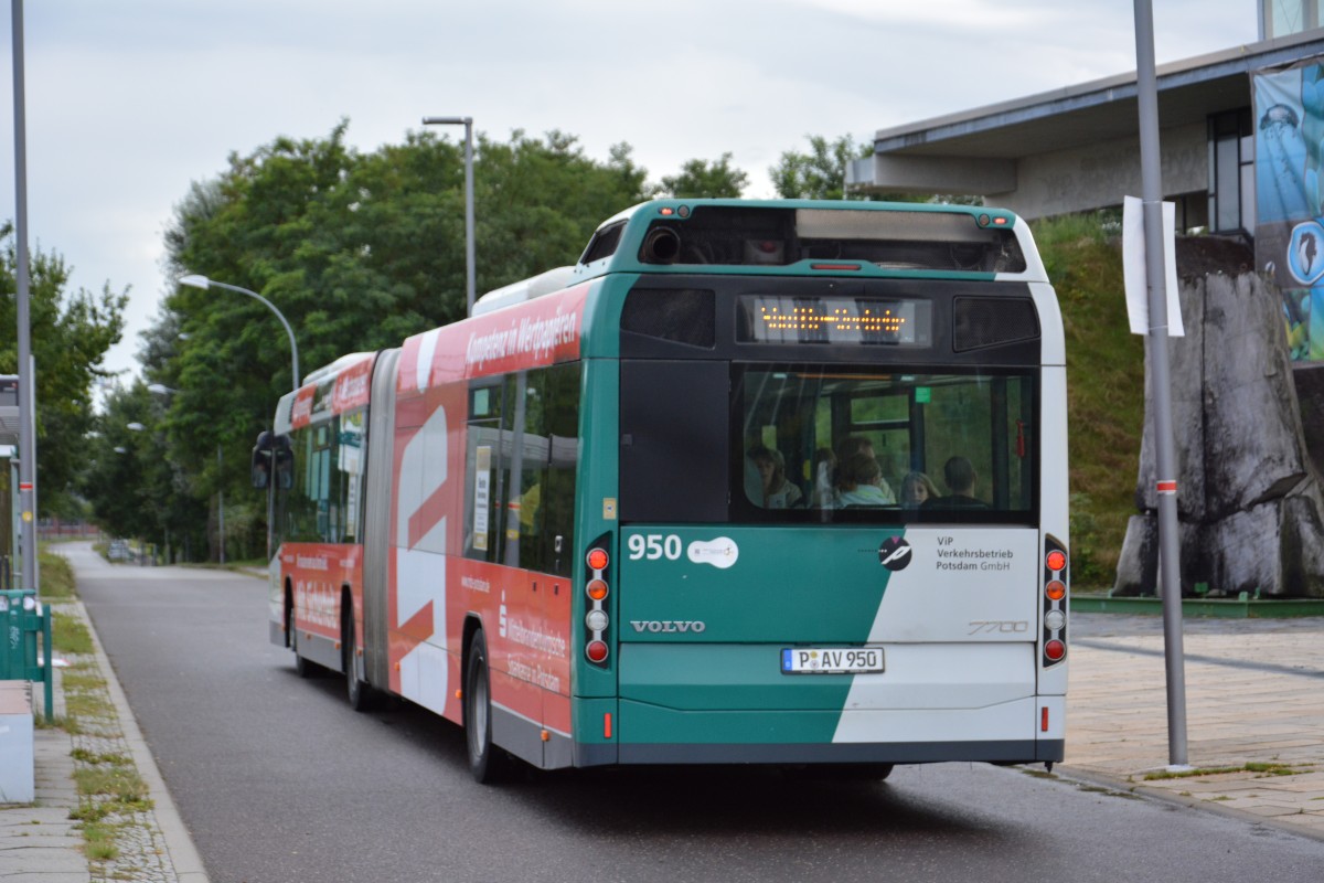 P-AV 950 fährt am 16.08.2014 auf Sonderfahrt für die Schlössernacht 2014. Aufgenommen am Volkspark.