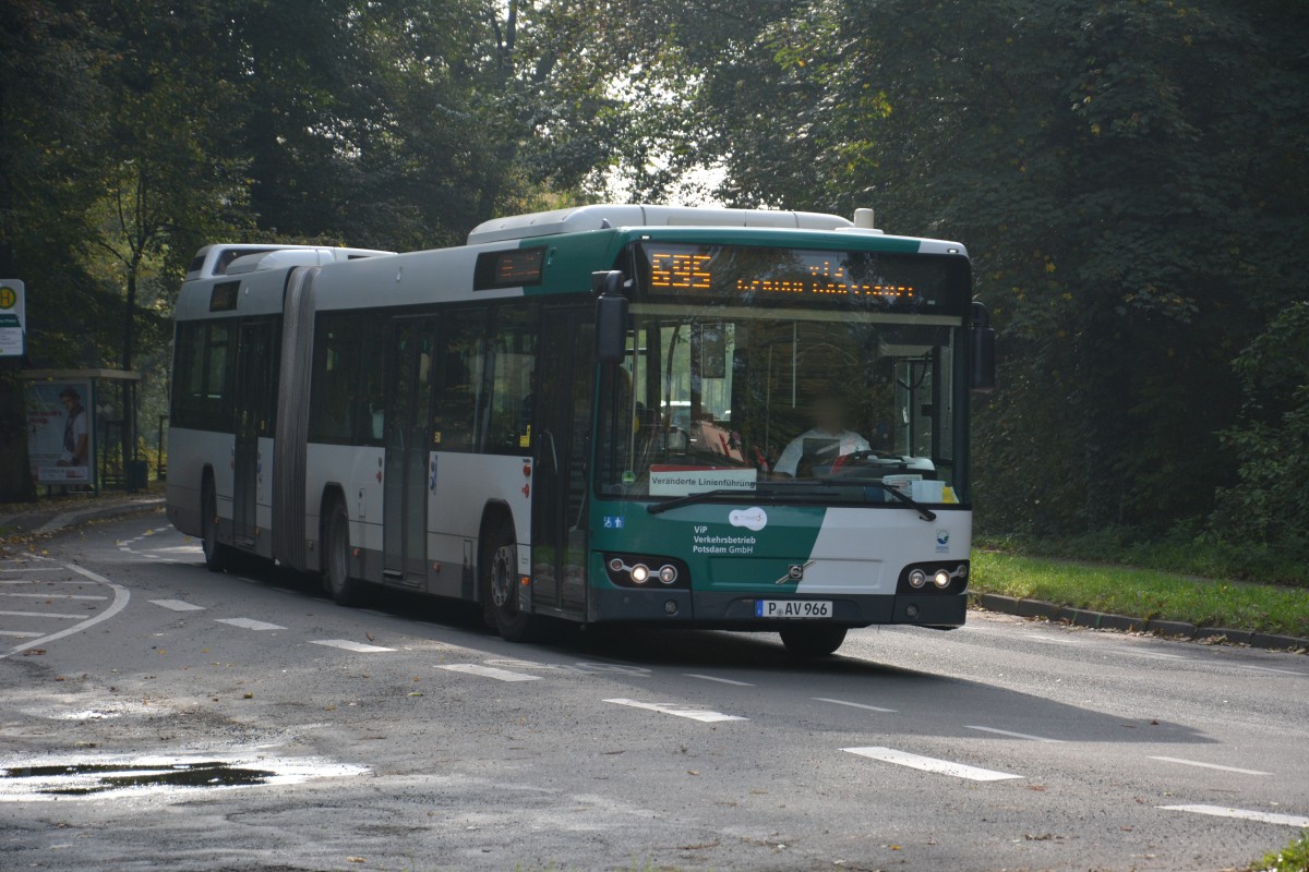 P-AV 966 fährt am 18.10.2014 auf der Linie 695 nach Potsdam Hauptbahnhof. Aufgenommen wurde Volvo 7700, Potsdam Neues Palais.
