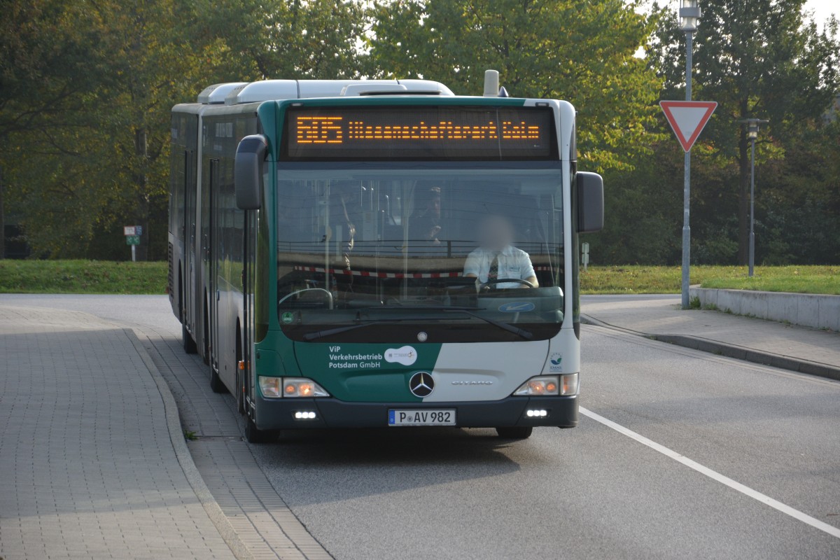 P-AV 982 auf der Linie 605 am 18.10.2014. Aufgenommen wurde Mercedes Benz O530 Facelift in Potsdam Golm.
