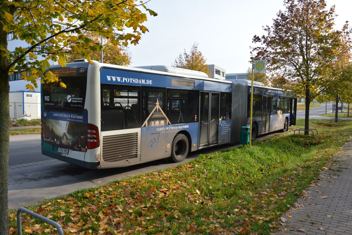 P-AV 982 auf der Linie 605 am 18.10.2014. Aufgenommen wurde Mercedes Benz O530 Facelift in Potsdam Golm.
