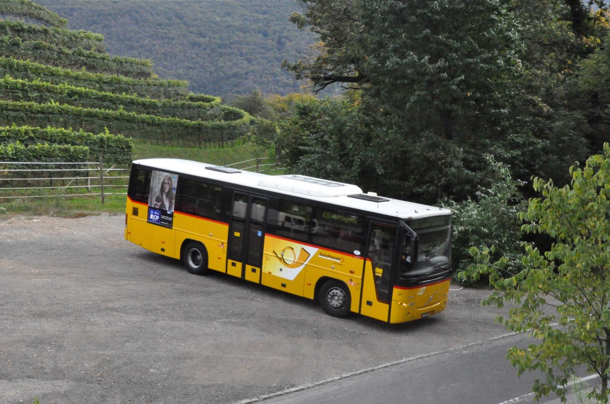 Regie Lugano. Volvo 8700 (Nr.533) in Agra, Roncone. (24.9.2014)