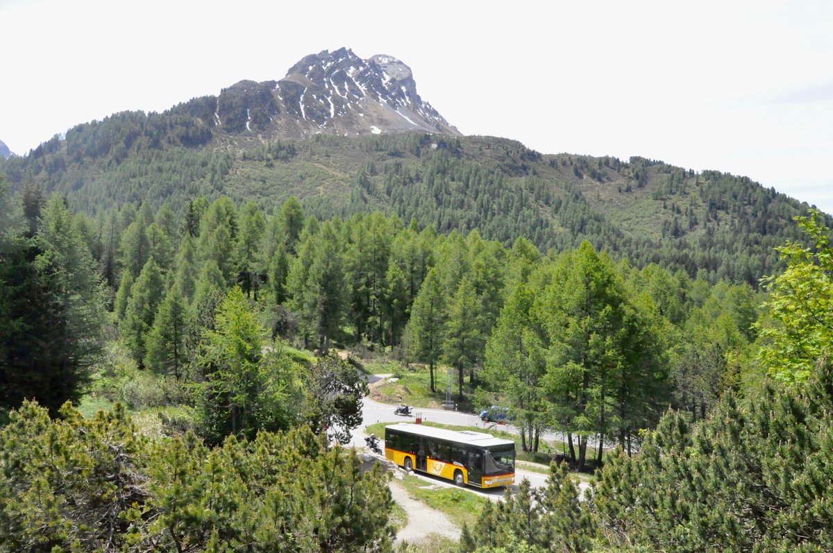 Regie St.Moritz. Setra S415NF (GR 102'375) kurz vor Maloja, Cad'Maté. (8.6.2017)