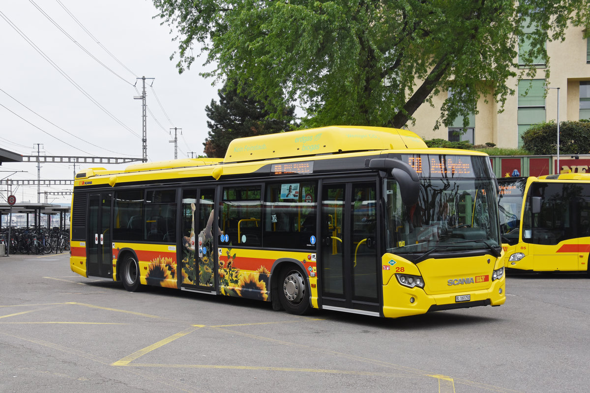 SCANIA Erdgasbus 28 der BLT, auf der Linie 60, wartet an der Endstation beim Bahnhof Muttenz. Die Aufnahme stammt vom 02.05.2018.