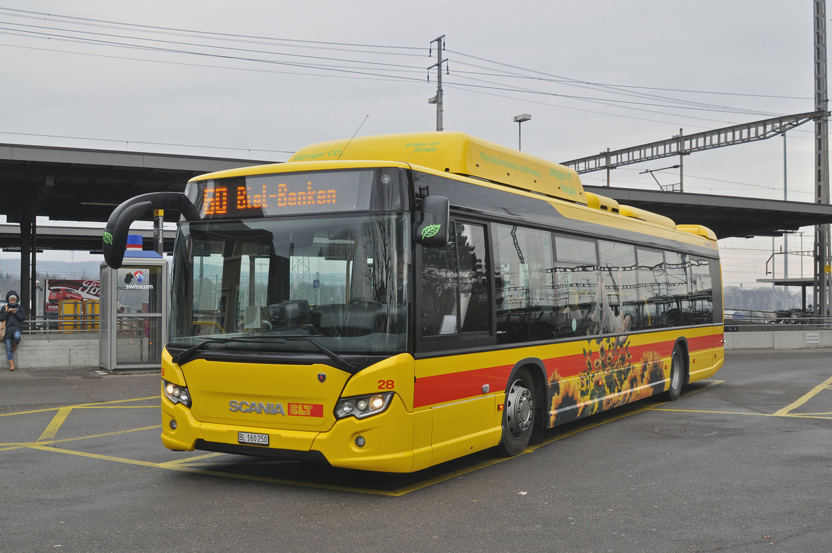 Scania Erdgasbus der BLT mit der Betriebsnummer 28 wartet an der Endstation der Linie 60 beim Bahnhof Muttenz. Die Aufnahme stammt vom 30.01.2017.