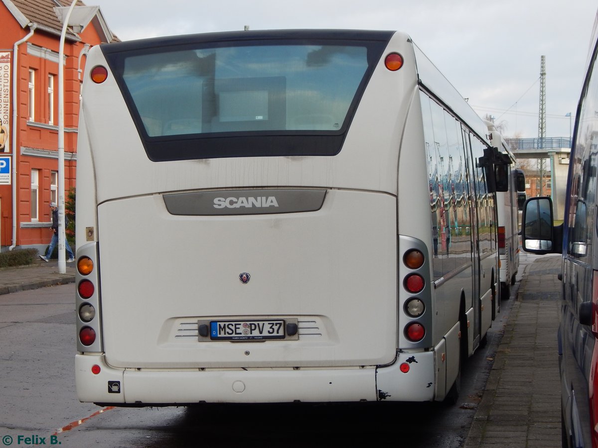 Scania OmniLink der PVM Waren in Neubrandenburg am 09.12.2016