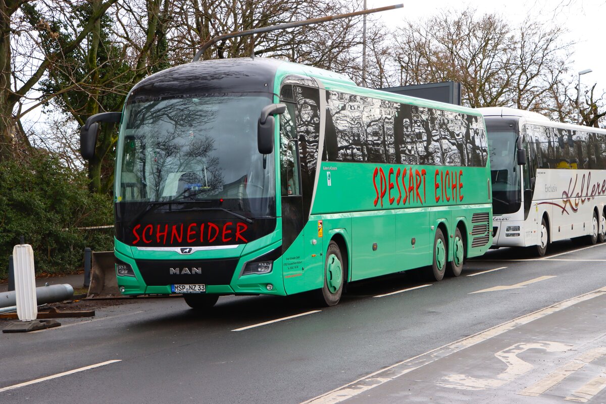 Schneider Reisen MAN Lions Coach am 16.02.26 in Mainz