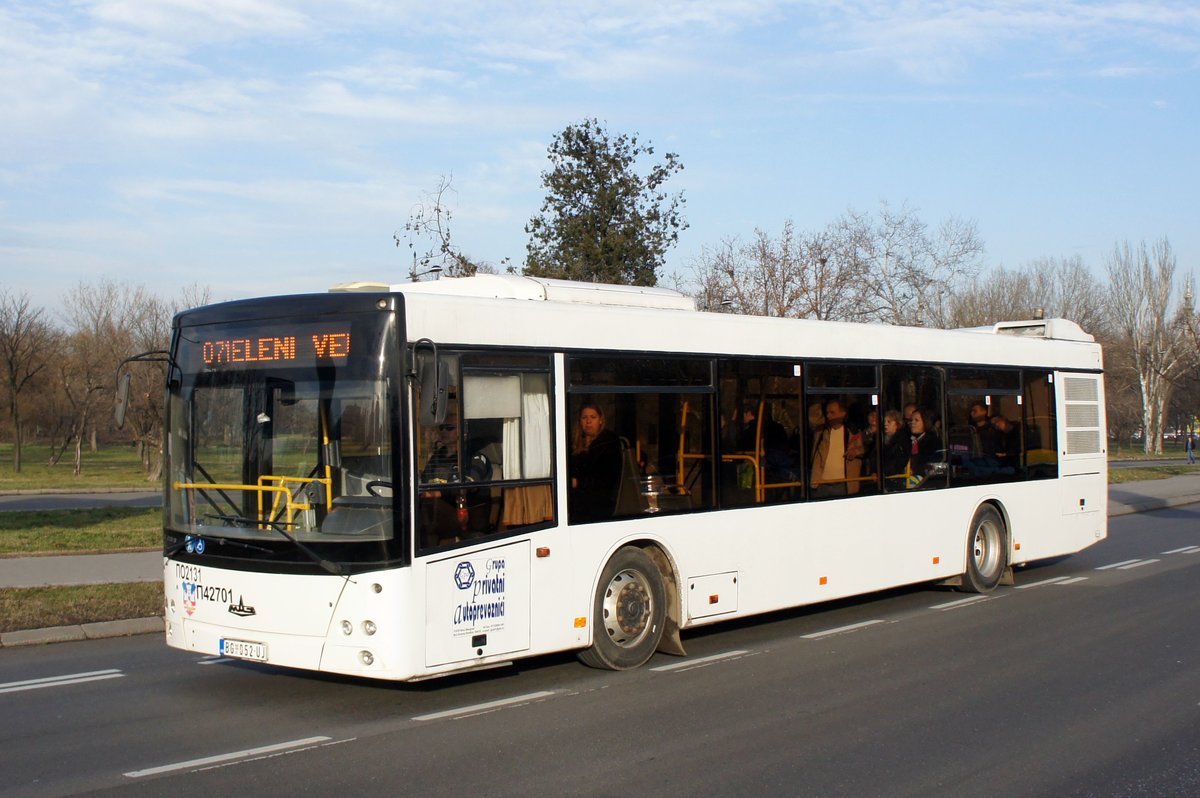 Serbien / Stadtbus Belgrad / City Bus Beograd: MAZ-203 (Minski Awtomobilny Sawod) der  Grupa privatni autoprevoznici , aufgenommen im Januar 2016 in der Nähe der Haltestelle  Bulevar Nikole Tesle  in Belgrad.
