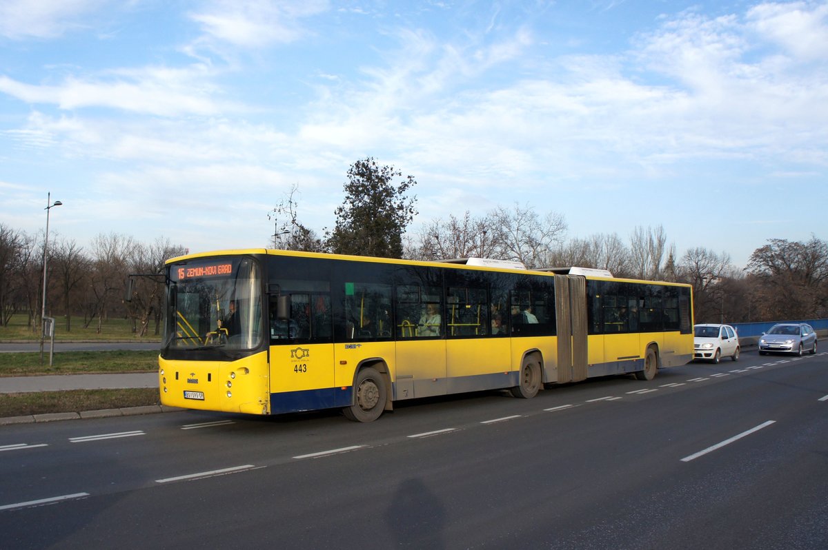 Serbien / Stadtbus Belgrad / City Bus Beograd: Ikarbus IK-218N - Wagen 443 der GSP Belgrad, aufgenommen im Januar 2016 in der Nhe der Haltestelle  Bulevar Nikole Tesle  in Belgrad.