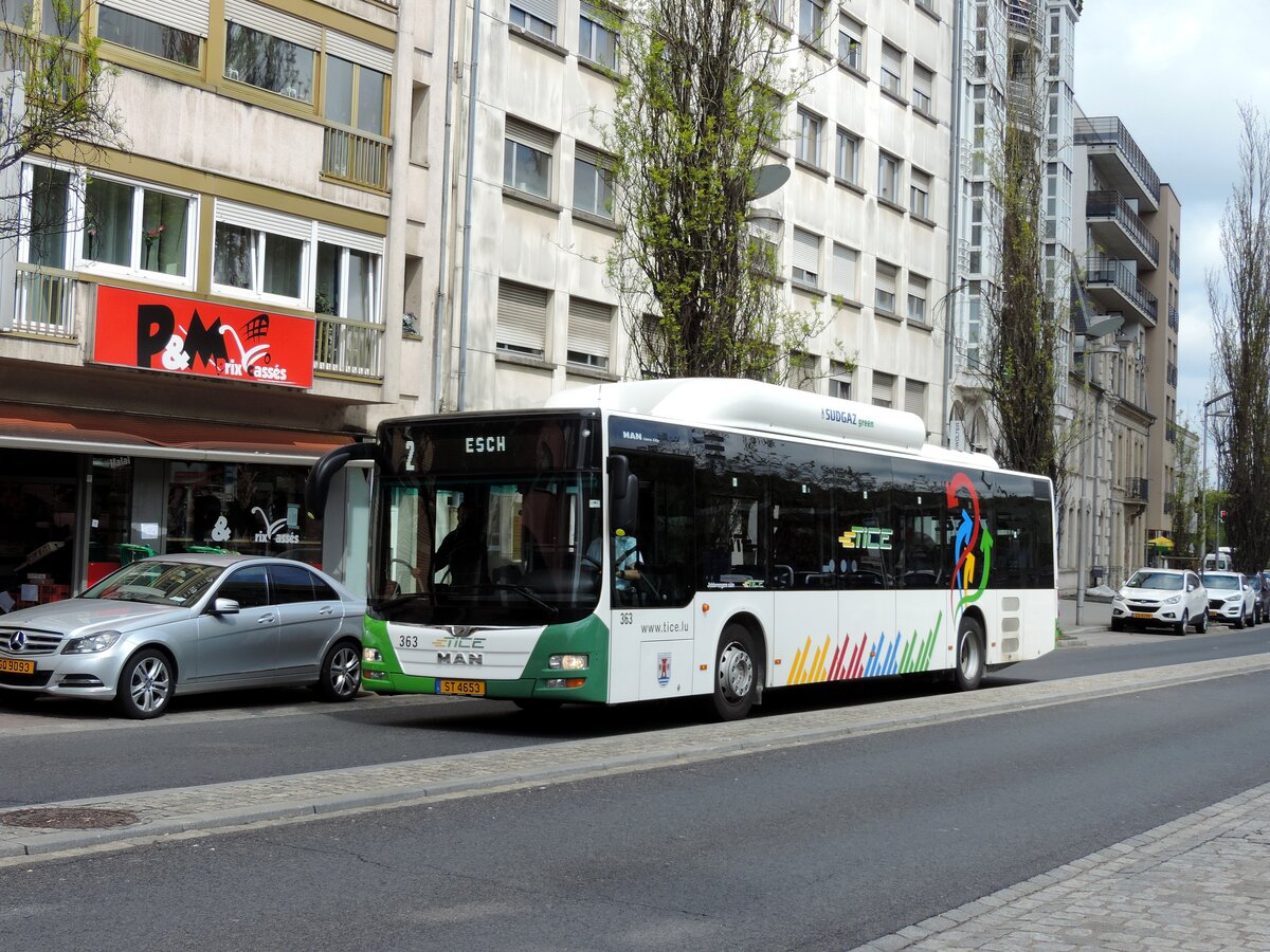 ST 4653, M.A.N Lion's City CNG, Wagen 363, am 20. Mai 2021 auf der Linie 2 beim Hauptbahnhof abgelichtet.