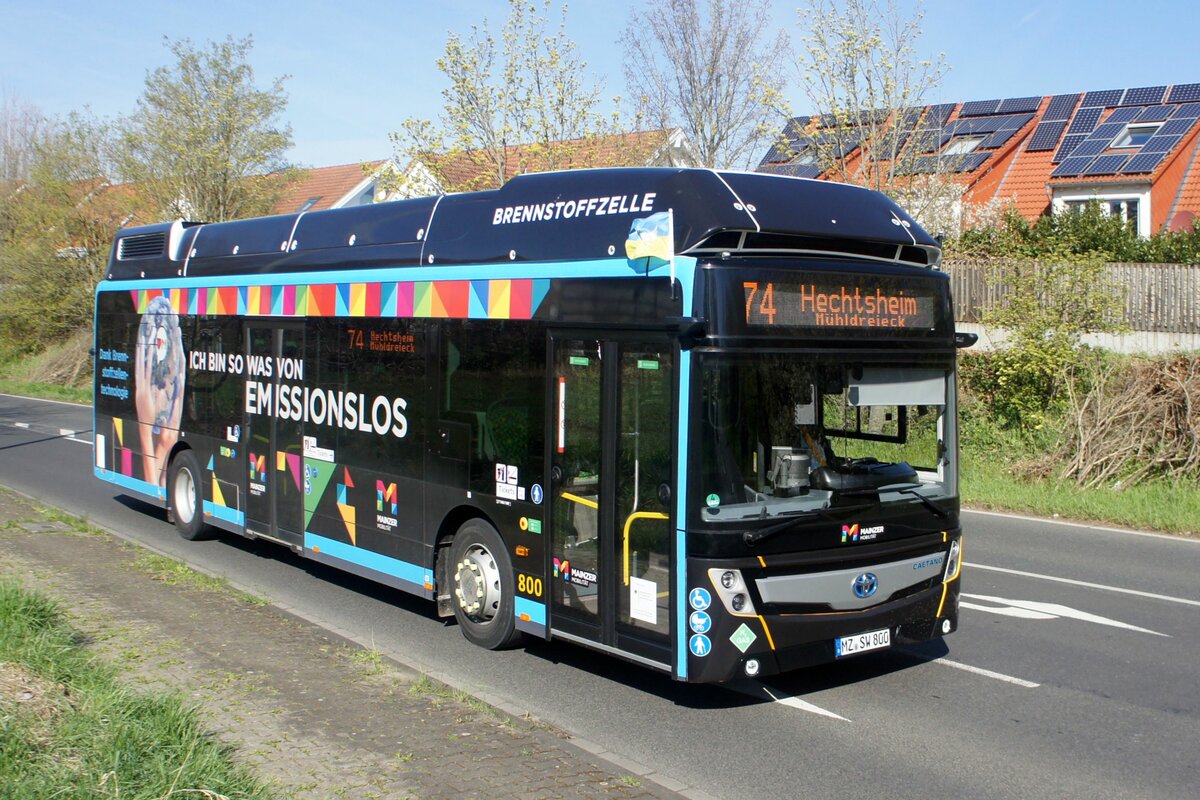Stadtbus Mainz: Caetano H2.City Gold mit Toyota-Technik der MVG Mainz / Mainzer Verkehrsgesellschaft (Wagen 800), aufgenommen im April 2022 in Mainz-Bretzenheim.
