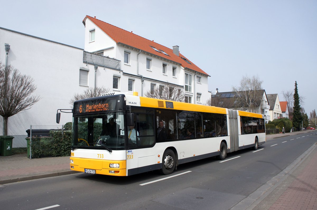 Stadtbus Mainz: MAN NG der MVG Mainz / Mainzer Verkehrsgesellschaft (Wagen 733), aufgenommen im April 2016 in der Nähe der Haltestelle  Draiser Straße  in Mainz.