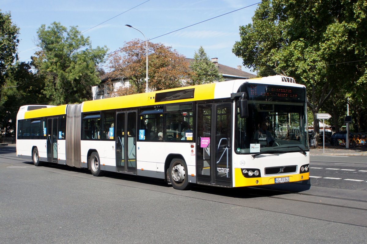 Stadtbus Mainz: Volvo 7700 Gelenkbus von Autobus Sippel GmbH (Wagen 243), aufgenommen im September 2020 an der Haltestelle  Goethestraße  in Mainz.