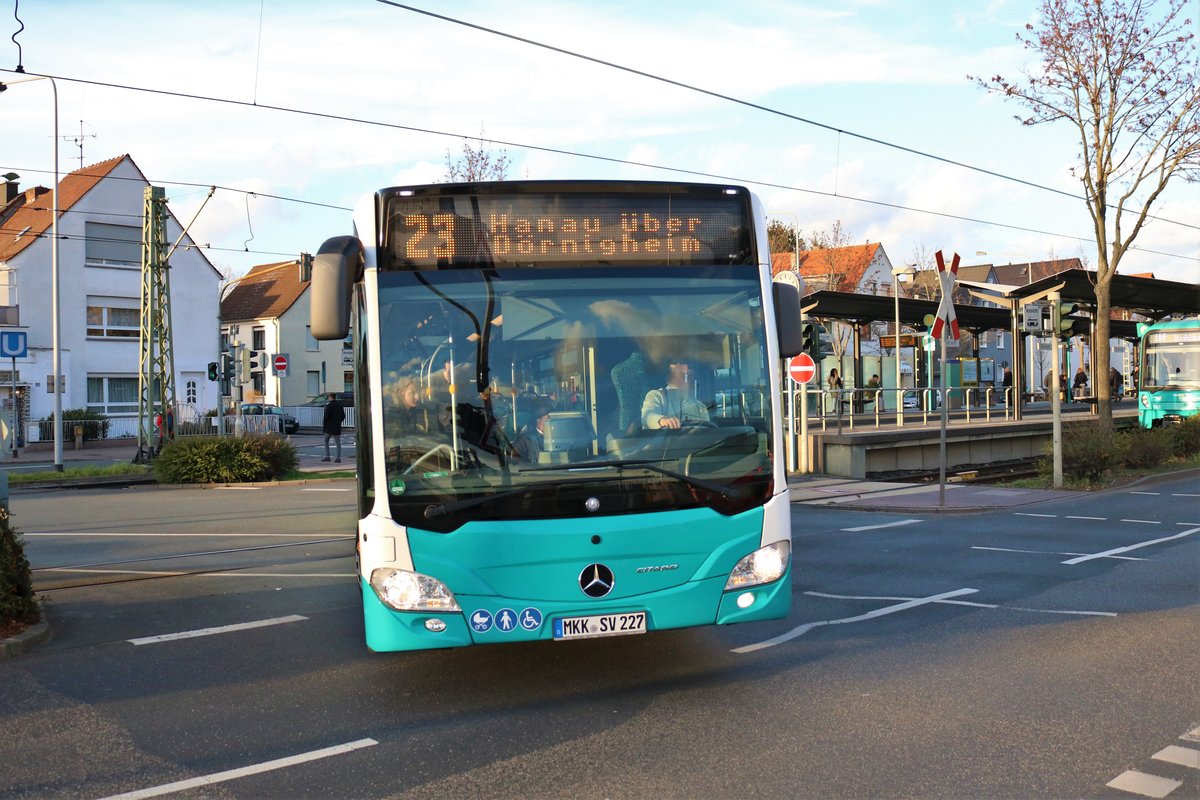 Stadtverkehr Maintal Mercedes Benz Citaro 2 Wagen 227 am 09.03.19 in Frankfurt am Main Enkheim