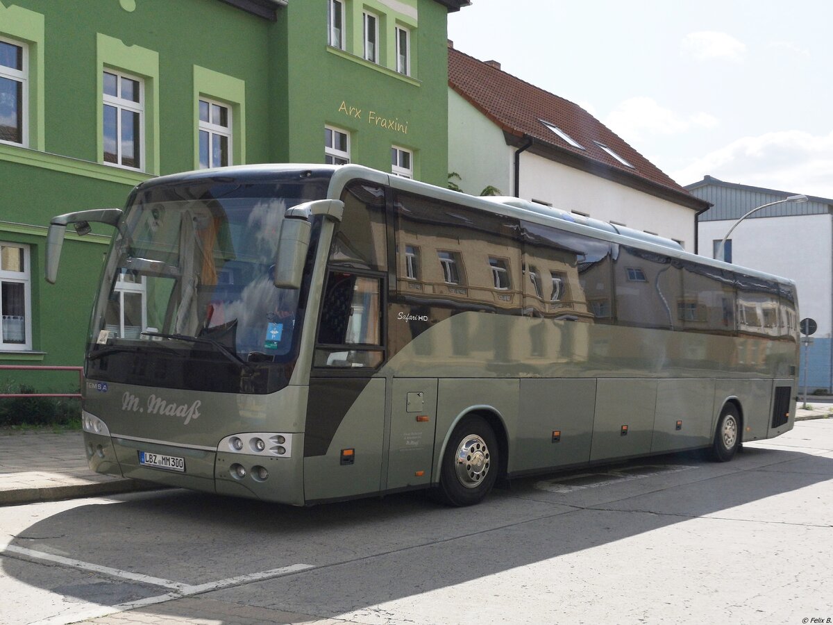 Temsa Safari HD von Plauer Busbetrieb M. Maaß aus Deutschland in Neubrandenburg am 23.08.2019