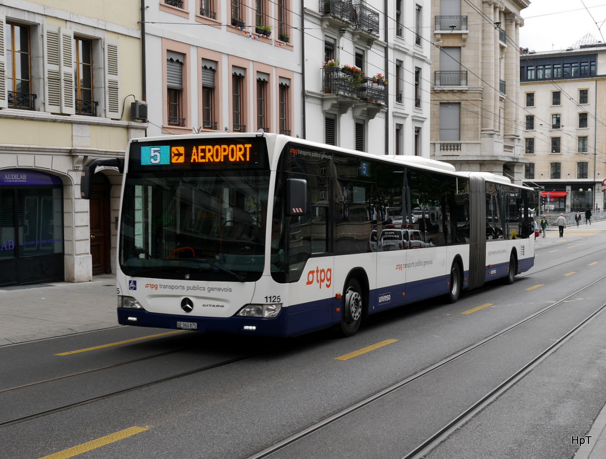 tpg - Mercedes Citaro Nr.1125  GE 960875 unterwegs auf der Linie 5 in den Strassen von Genf am 04.06.2016