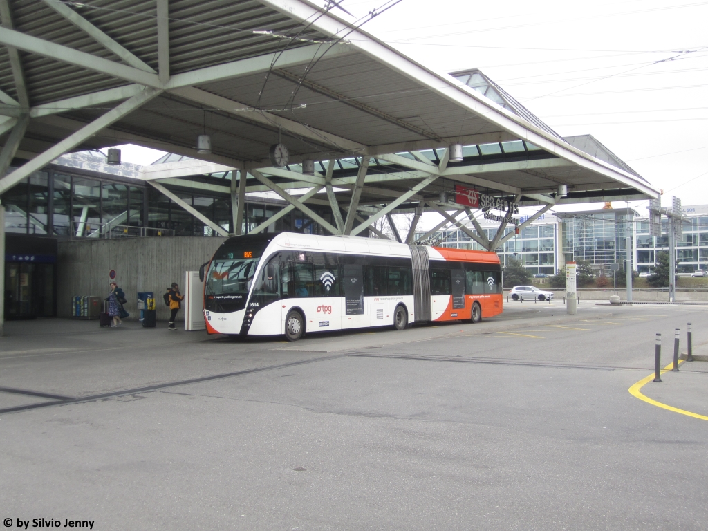 tpg Nr. 1614 (VanHool ExquiCity 18) am 22.2.2018 beim Flughafen Genf