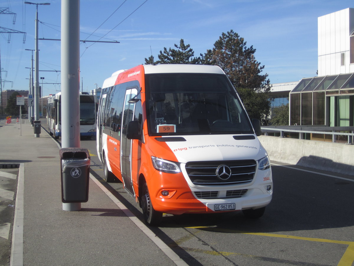 tpg/Globe Limo SA Nr. 2044 (Mercedes Sprinter City) am 22.02.2020 in Genève, Aéroport