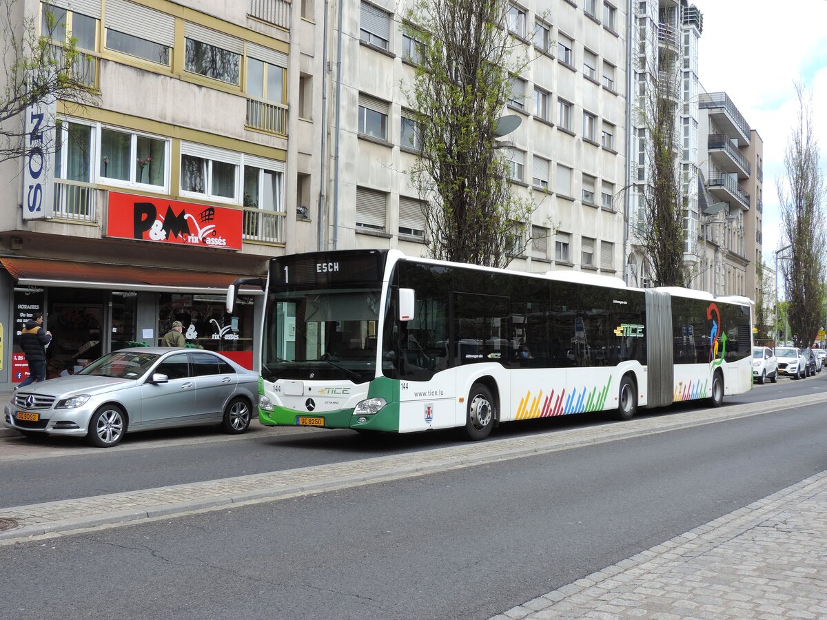 UC 8250, Mercedes Citaro C2 Gelenkbus, Wagen 144, am 20. Mai 2021 auf der Linie 1 beim Hauptbahnhof abgelichtet.