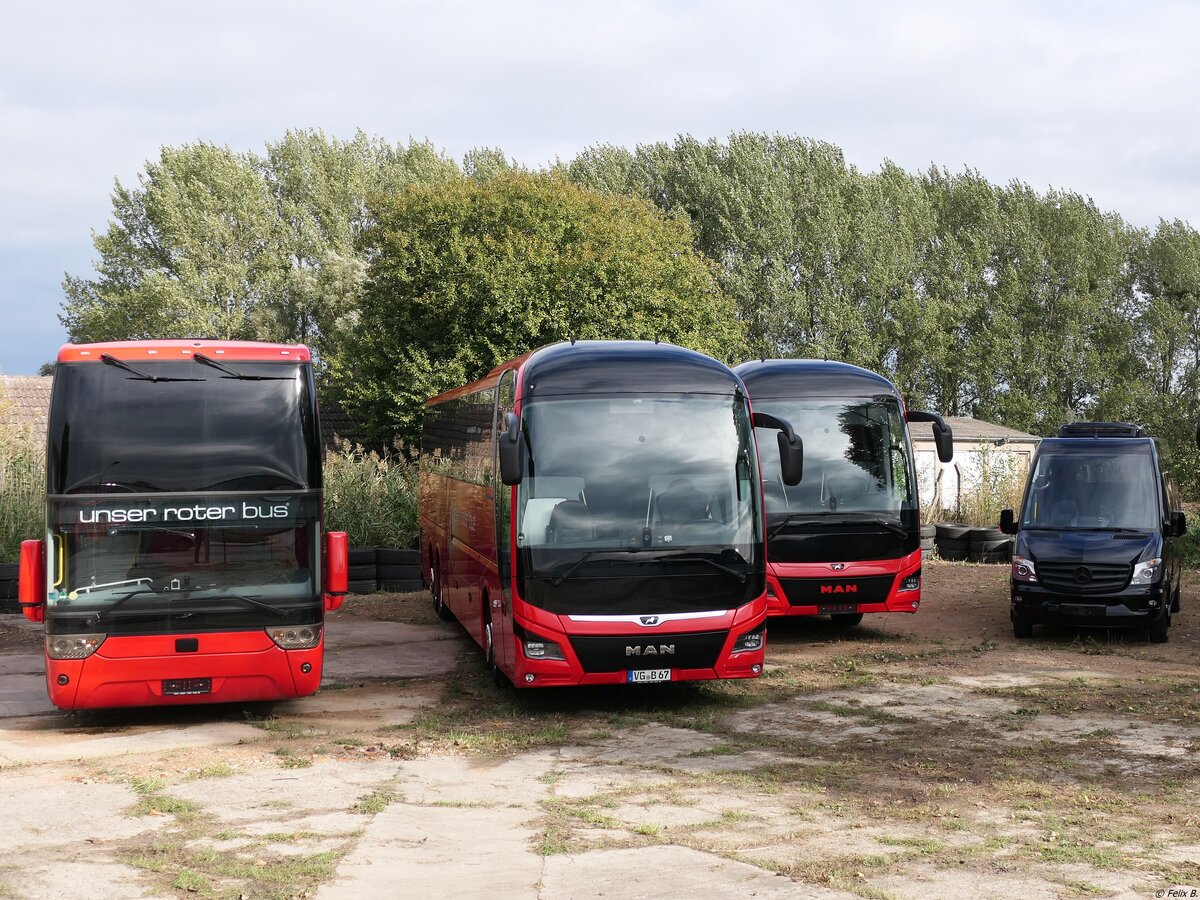 Van Hool TX17 und MAN Lion's Coach und Mercedes Sprinter von URB aus Deutschland in Ueckermünde am 11.10.2020