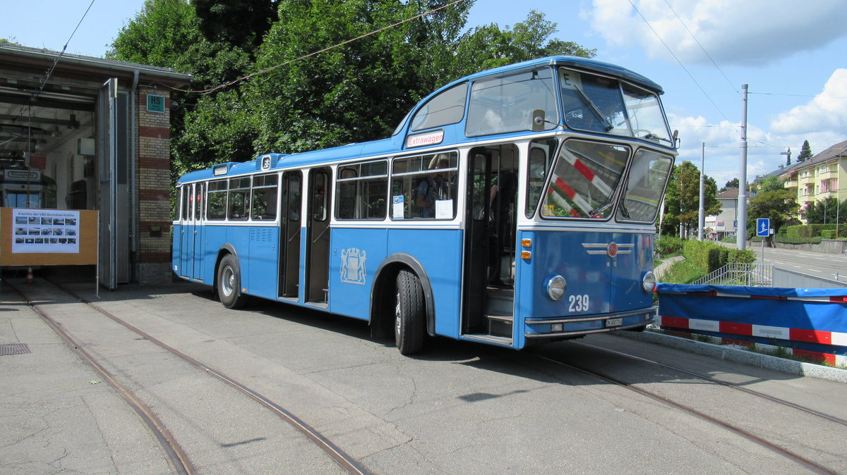 VBZ Nr. 239 (FBW/Tüscher, 1959) am 20.8.2017 beim Tram-Museum Burgwies. Der Chauffeur hat die Übersicht im  Hochsitz .