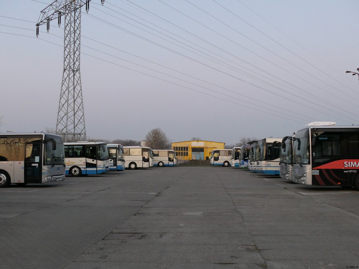 Verschiedene Busse der MVVG in Neubrandenburg am 28.03.2020