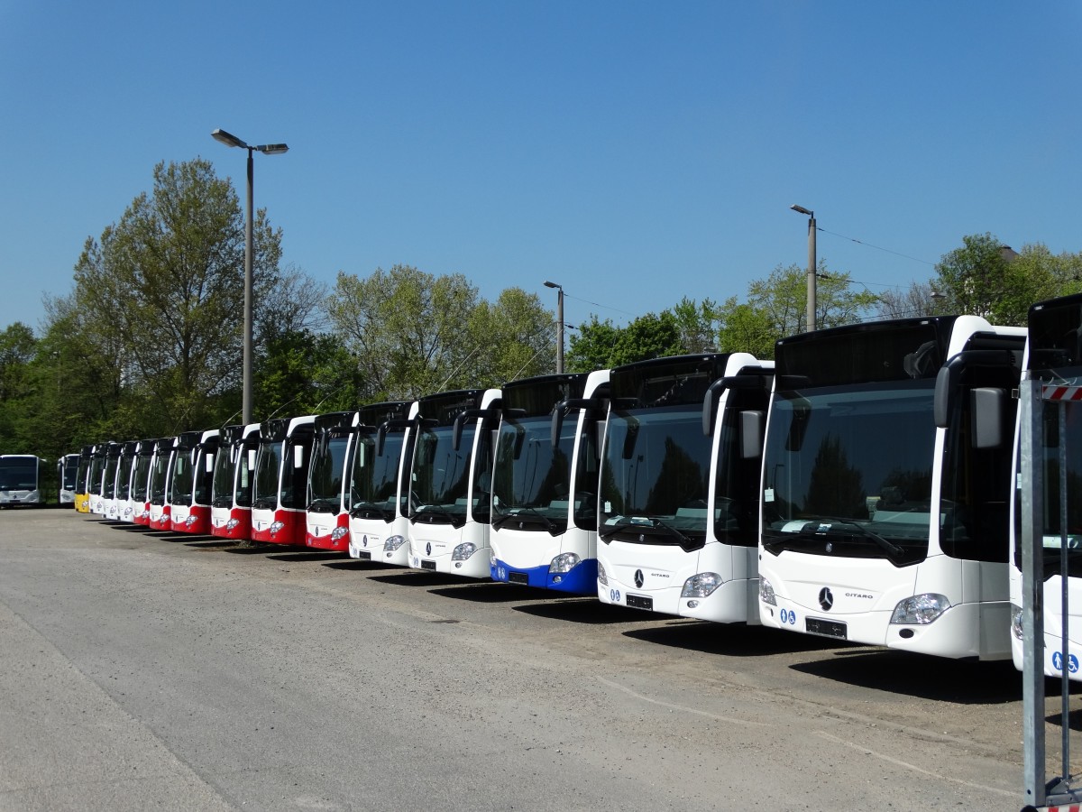 Viele neue Mercedes Benz Citaro C2 am 24.04.15 bei Evo Bus in Mannheim durch den Zaun fotografiert