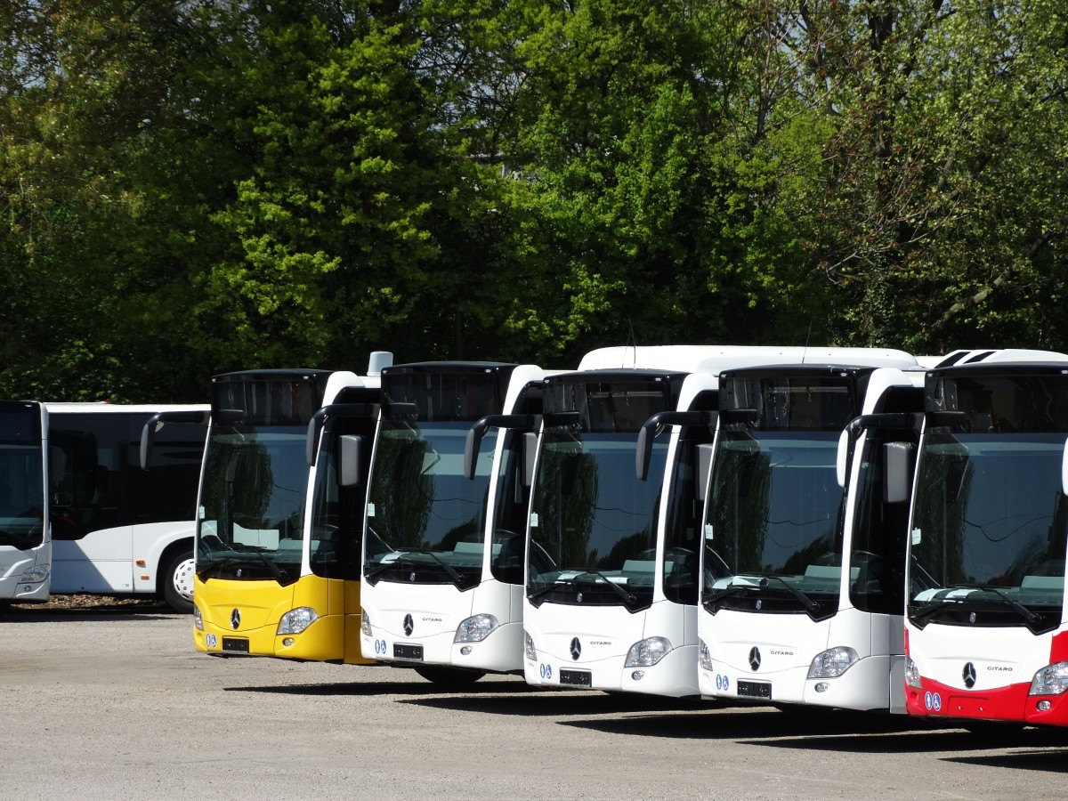 Vier neue Mercedes Benz Citaro C2 am 24.04.15 bei Evo Bus in Mannheim durch den Zaun fotografiert