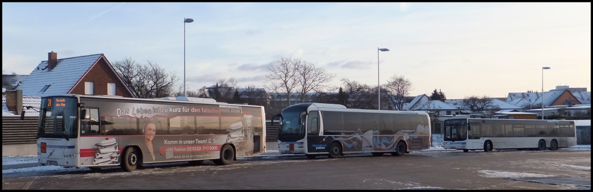 Volvo 8700, MAN Lion's Regio und MAN Lion's City der RPNV in Bergen am 23.01.2014