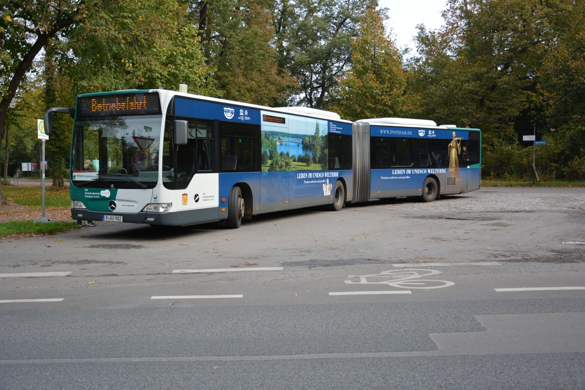 Von der Seite wurde P-AV 982 (Mercedes Benz O530) aufgenommen. Potsdam Neues Palais am 18.10.2014.