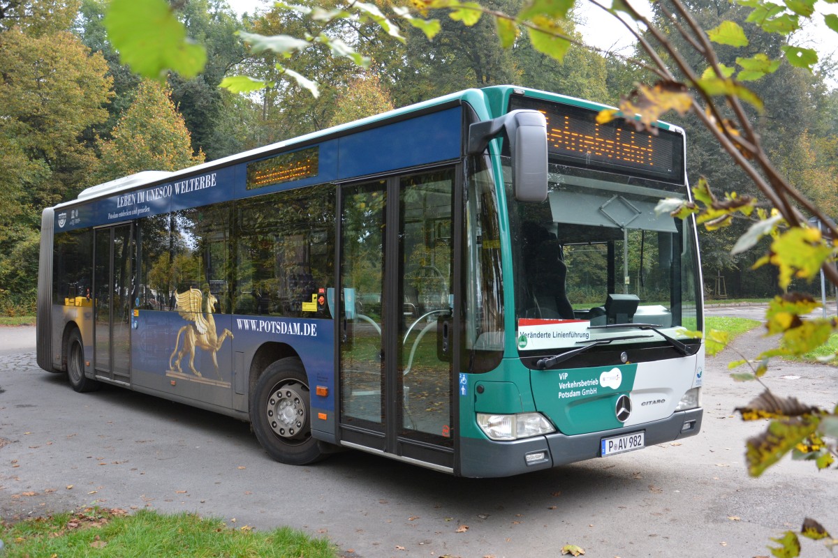 Von vorne wurde P-AV 982 (Mercedes Benz O530) aufgenommen. Potsdam Neues Palais am 18.10.2014.