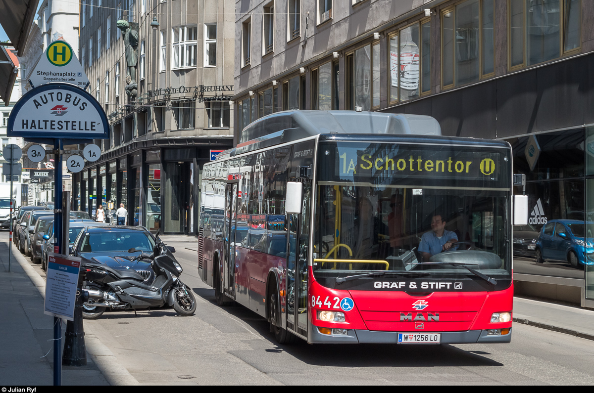 Wiener Linien MAN 8442 am 30. Mai 2017 am Stephansplatz.