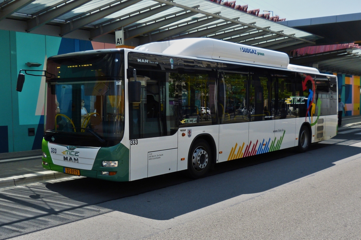ZG 9979, MAN Lion’s City, vom Tice, steht am Busbahnhof in Esch Alzette. 20.07.2021