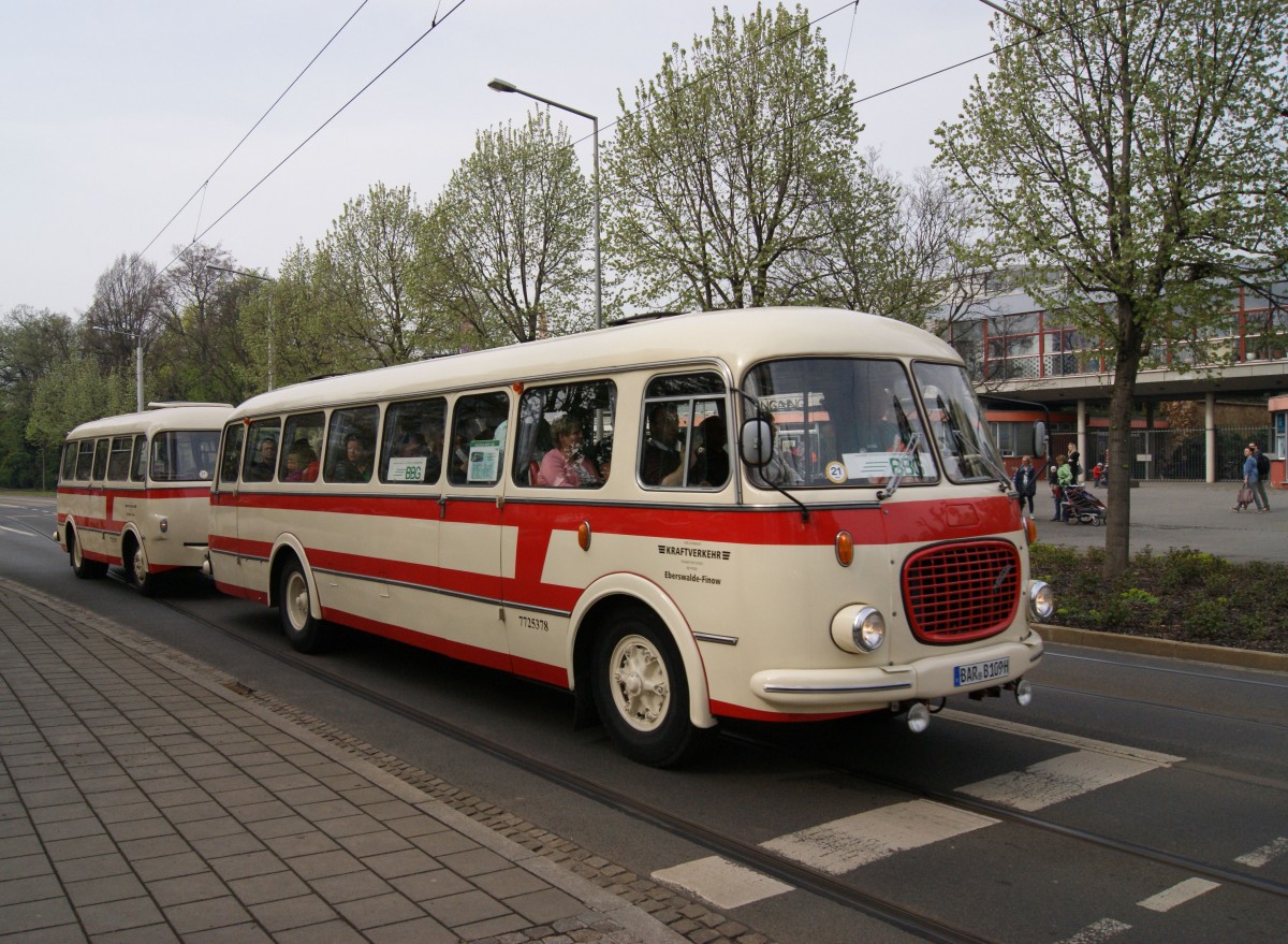 Zur Veranstaltung 100 Jahre Omnibus in Dresden am 05.04.2014 wurden Rundfahrten mit historischen Bussen angeboten. Hier ist der Skoda 706RTO der Barnimer Busgesellschaft am Zoo unterwegs.