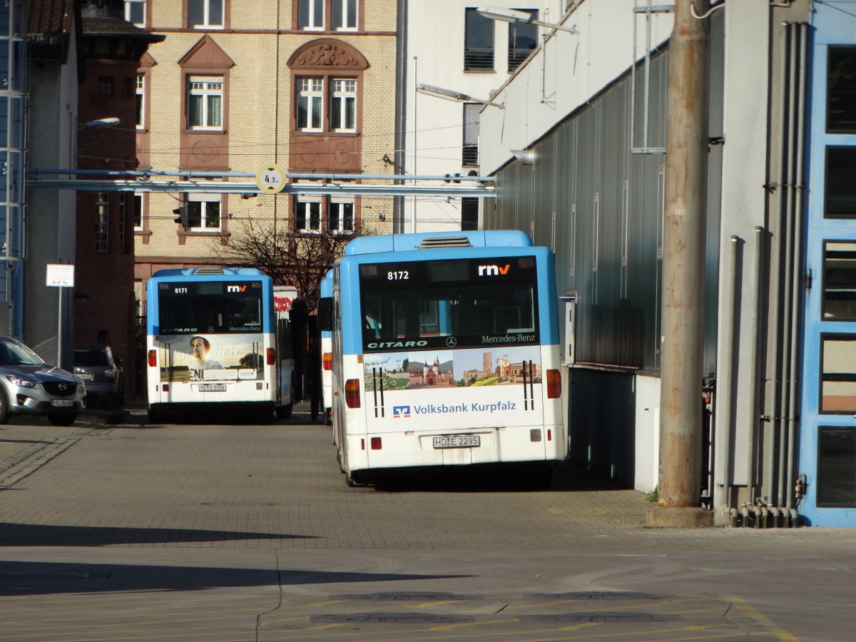 Zwei RNV Mercedes Benz Citaro 1 G (8171 und 8172) am 25.02.16 in ...