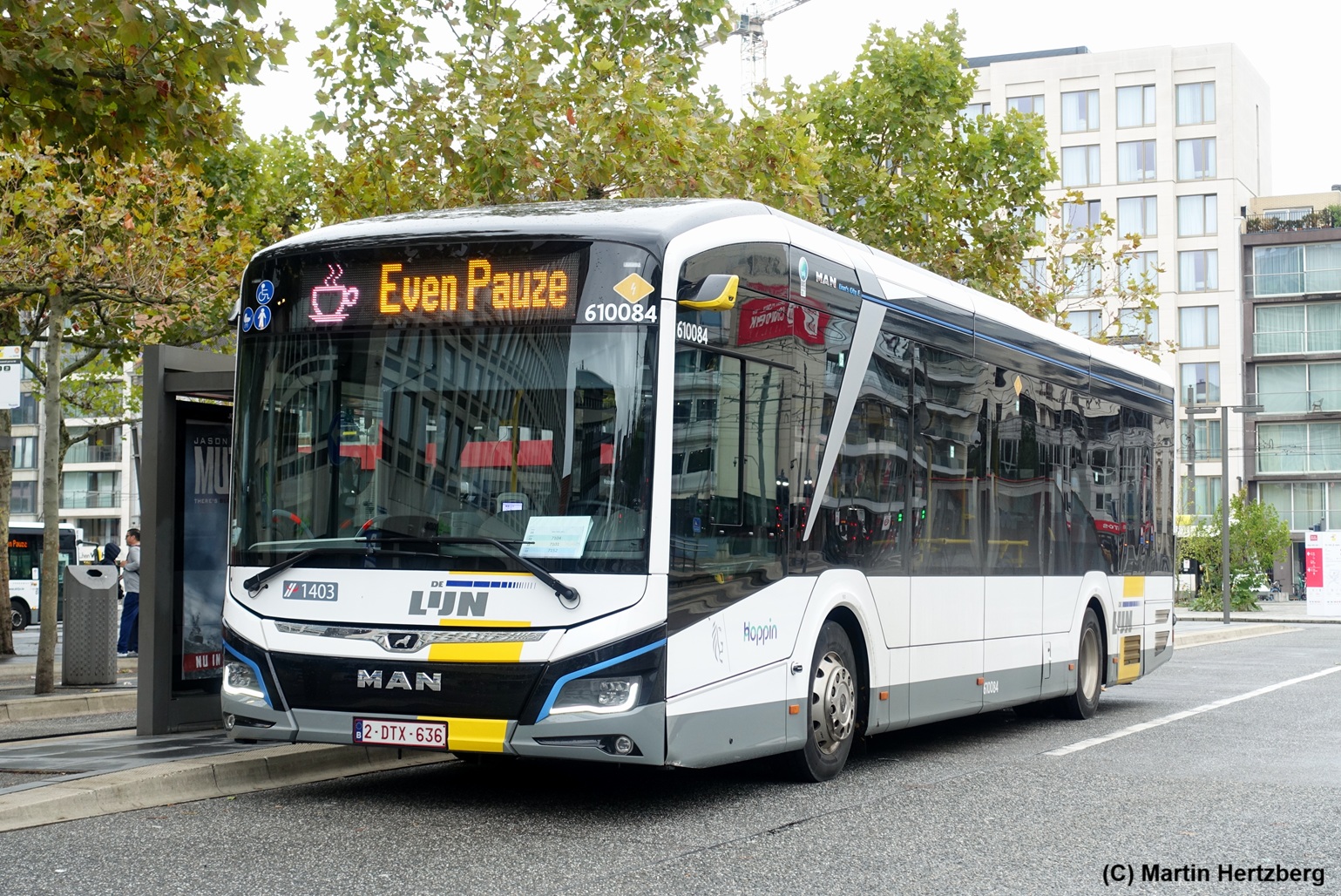 MAN Lion's City 12 E De Lijn, Antwerpen/Belgien August 2026