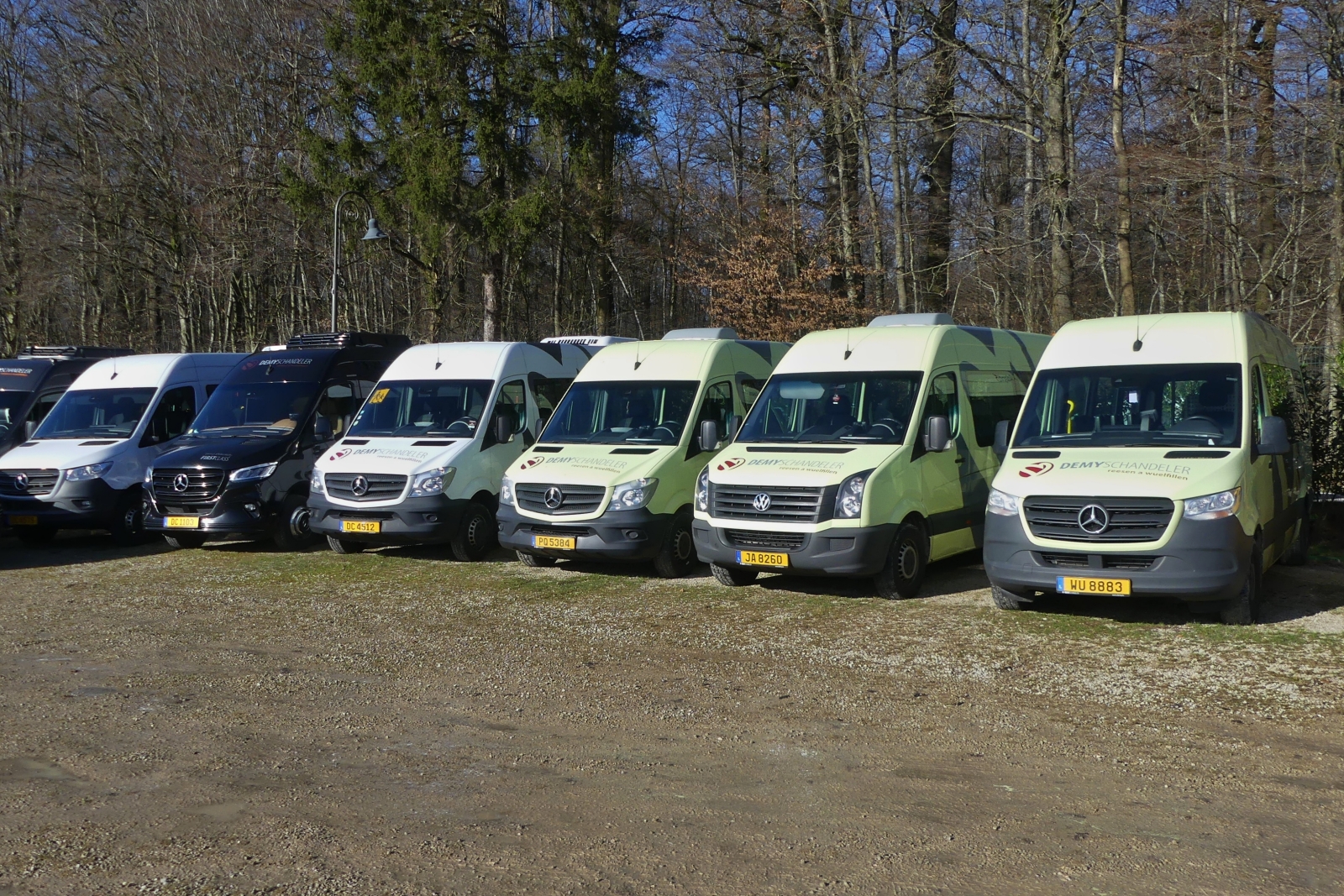 Mehrere Mercedes Benz Sprinter und ein VW Crafter, von Demy Schandler, aufgenommen am Tag der offenen Tür, aus Anlass des 75 Jährigem Bestehen der Firma Demy Schandler in Keispelt, zum selben Zeitpunkt fand eine „Tourism Foir“ in der Halle statt. 27.01.2024