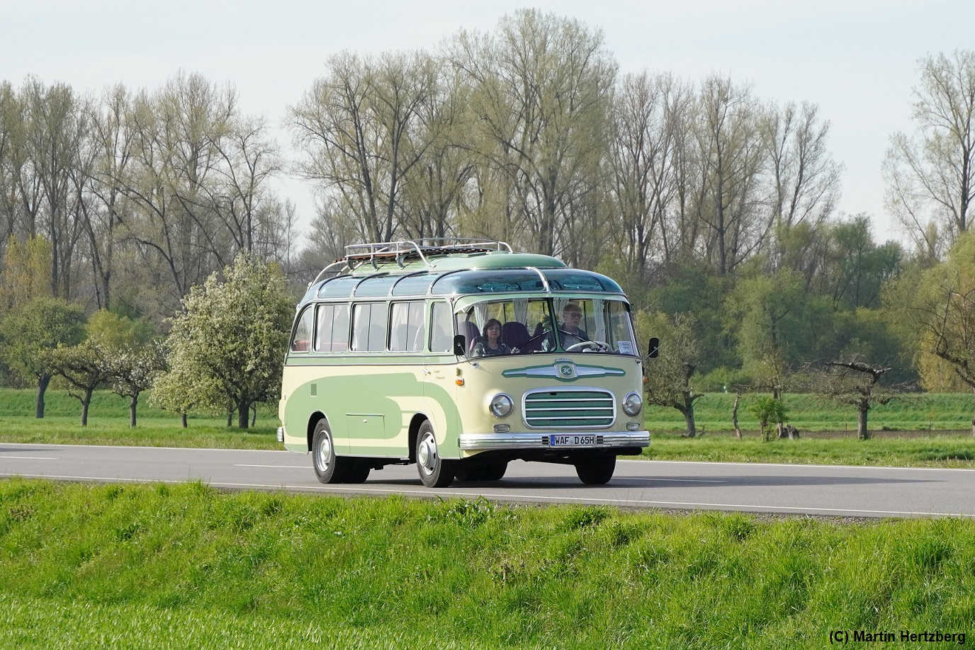 Setra S 6 Bj. 1959  Dingwerth , 6. Europatreffen historischer Omnibusse in Sinsheim/Speyer April 2023