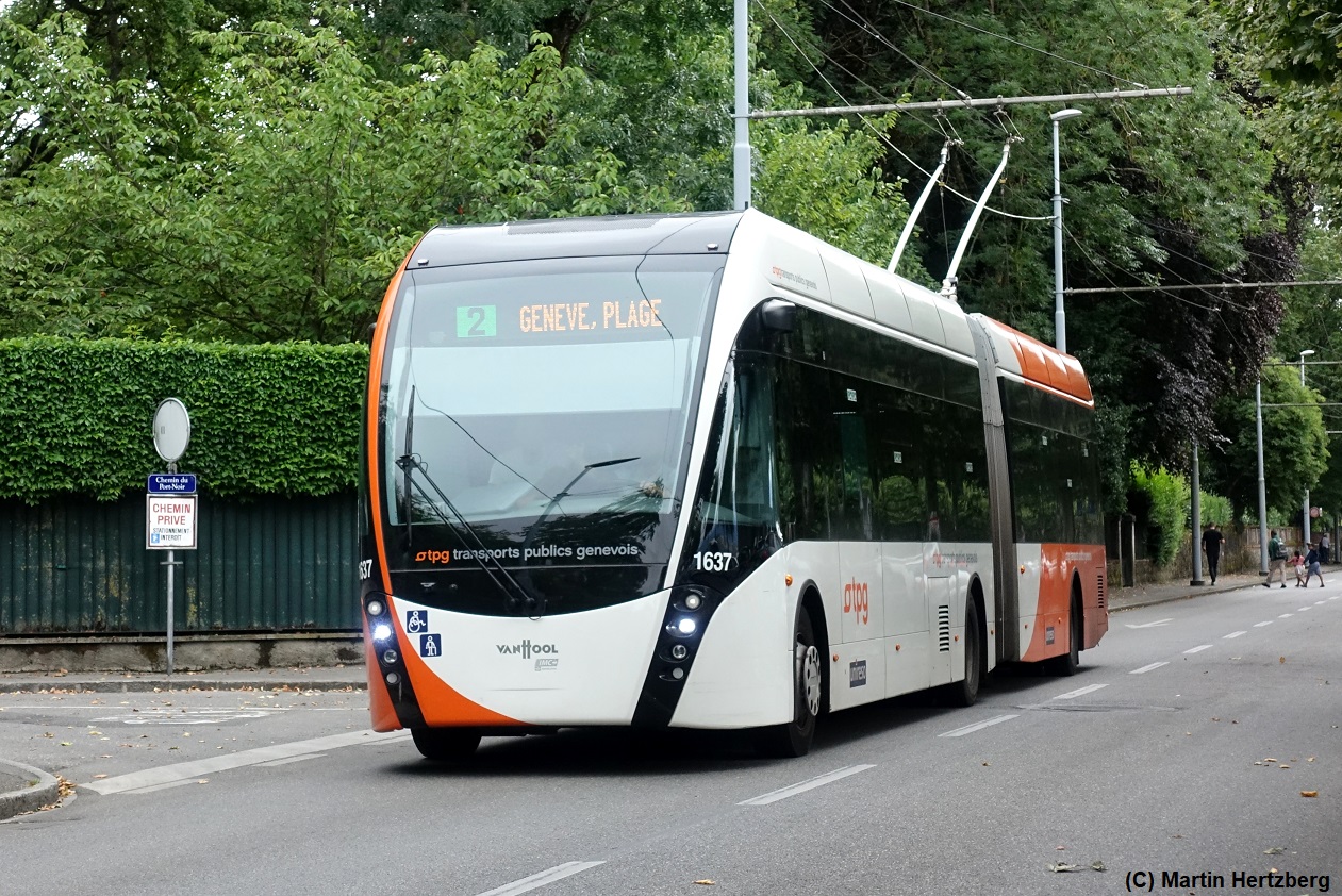 Van Hool ExquiCity 18  tpg , Genève/Schweiz Juli 2023