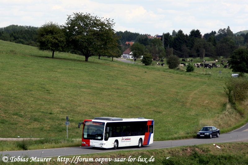 22.08.09: Hier sehen wir nochmal den WND-DS 180 der Firma Dieter Schmidt. Das Bild zeigt den neuen Citaro II  als SEV Neunkirchen - Illingen, hier auf der Landstrae zwischen Wemmetsweiler und Shciffweiler im idyllischen Leopoldszhal.