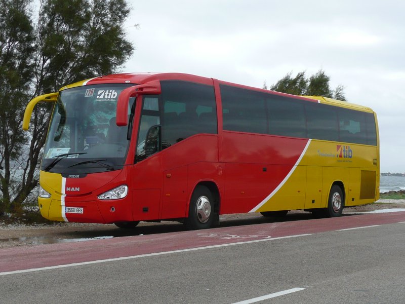 23.11.08,MAN-Irizar als berlandbus der tib auf der Fernstrae 222 zwischen Port de Pollenca und Alcdia,an der Platja de Cuarasa/Mallorca.