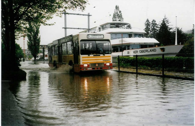 Aus dem Archiv: STI Thun Nr. 24/BE 419'024 Volvo/R&J (ex SAT Thun Nr. 24) am 14. Mai 1999 Thun, Rosenau (whrend dem Hochwasser in Thun)