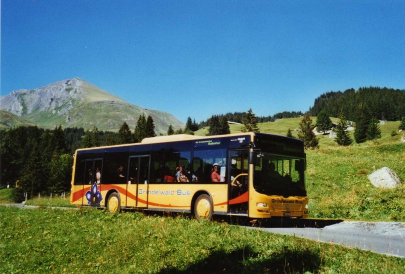 AVG Grindelwald Nr. 18/BE 382'871 MAN am 23. August 2009 Grindelwald, Lauchbhl