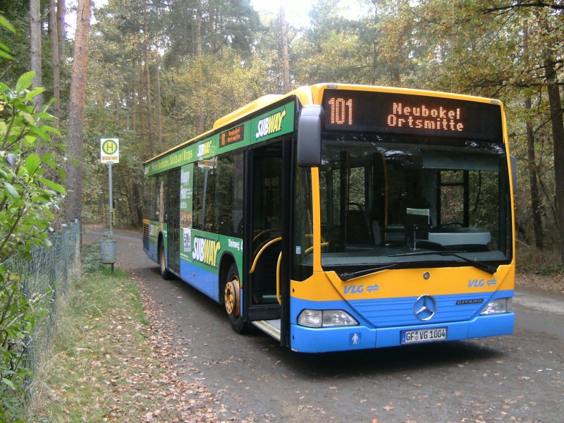 Der 1004 mit der Linie 101 nach Neubokel in Winkel