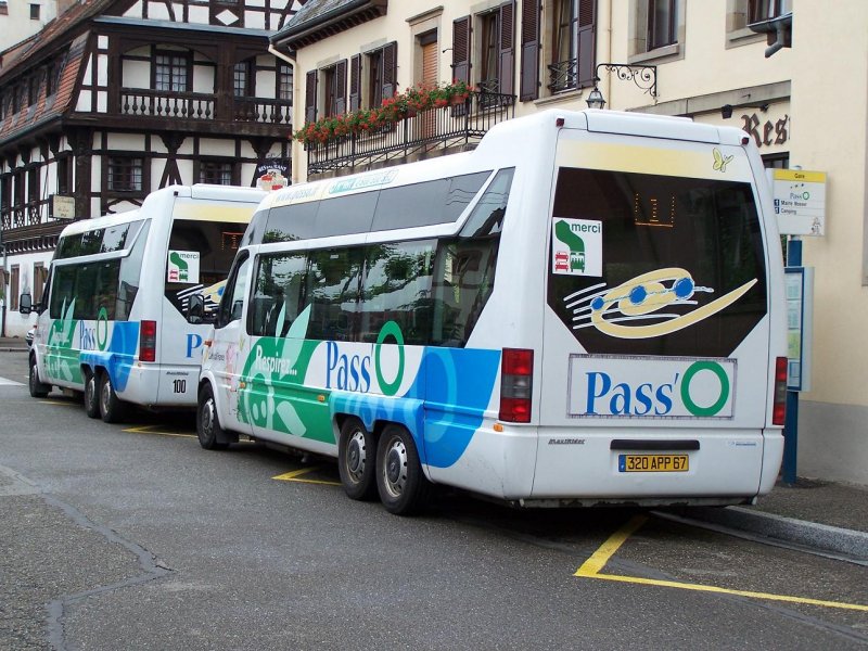Der Verkehrsbetrieb in Obernai wird von Car Postal France unternommen, filiale von PostAuto Schweiz.