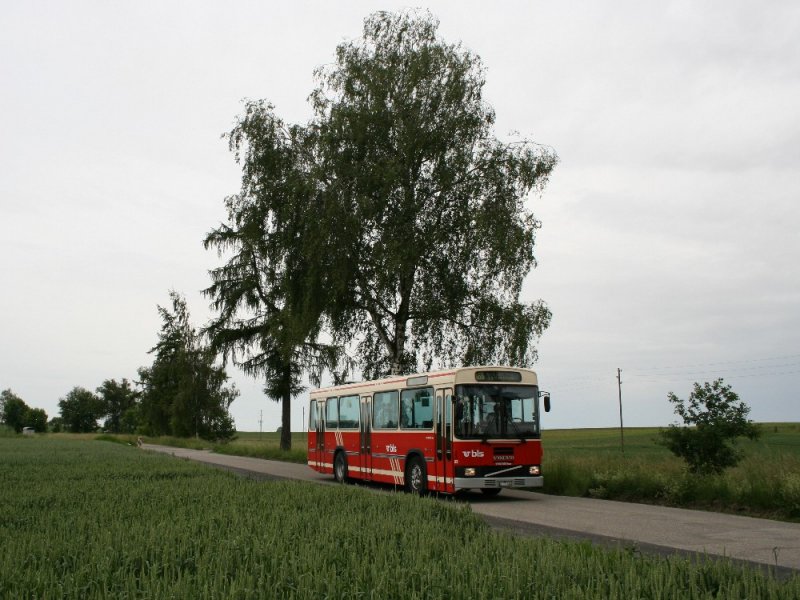 Der Volvo/Lauber B10M Nr. 23 der Busland AG, Koppigen am 1.6.2008 unterwegs zwischen Ersigen und Obersch.