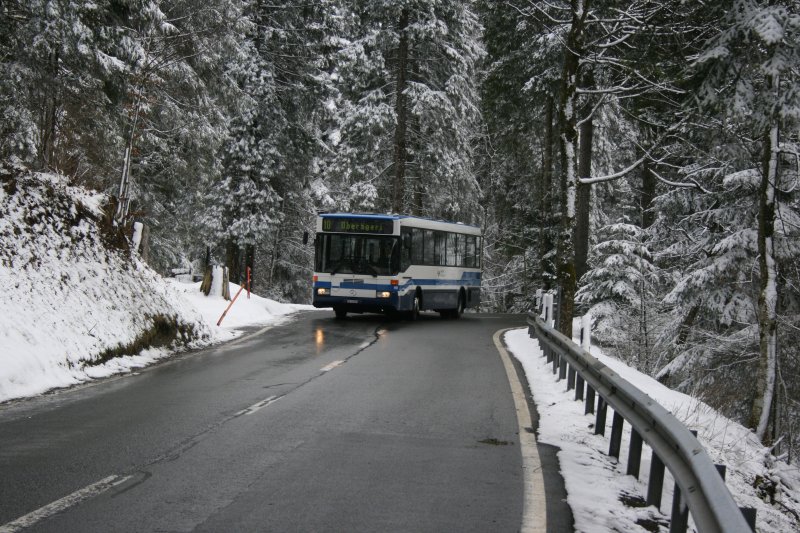 Durch den frisch verschneiten Wald fhrt am 21.3.2007 die ZVB Nr. 151 (ZG 51'151, MB/R&J O405, 1989) talwrts vom Ratenpass nach Obergeri. 