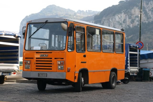 Ein Fiat Midi-Bus steht in Marina Grande abgestellt; 27.01.2008