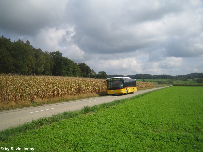 Ganz berraschend begegnete mir am 20.9.09 zwischen Berg und Oberwil auf der Linie 676 der MAN Lion's City Nr. 212 von PU Motrag. Dieser MAN ist eigentlich nur der Reservewagen, und daher ist es sehr selten, dass er an einem Sonntag unterwegs ist.