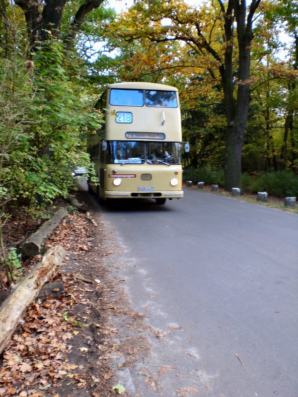 Hist. Bssing-Doppeldeckerbus bei Anfahrt zur Haltestelle Grundwaldturm, Ausflugslinie zur Pfaueninsel, Herbst 2007