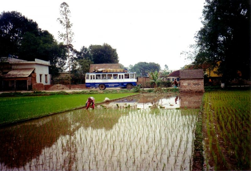  Linienbus  auf dem Weg zwischen Reisfeldern nach Hanoi; Feb.1997 